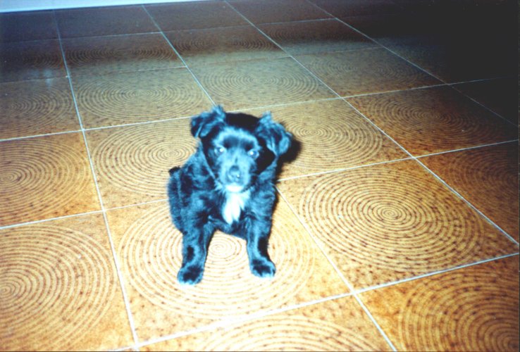 Maya a 2 mesi